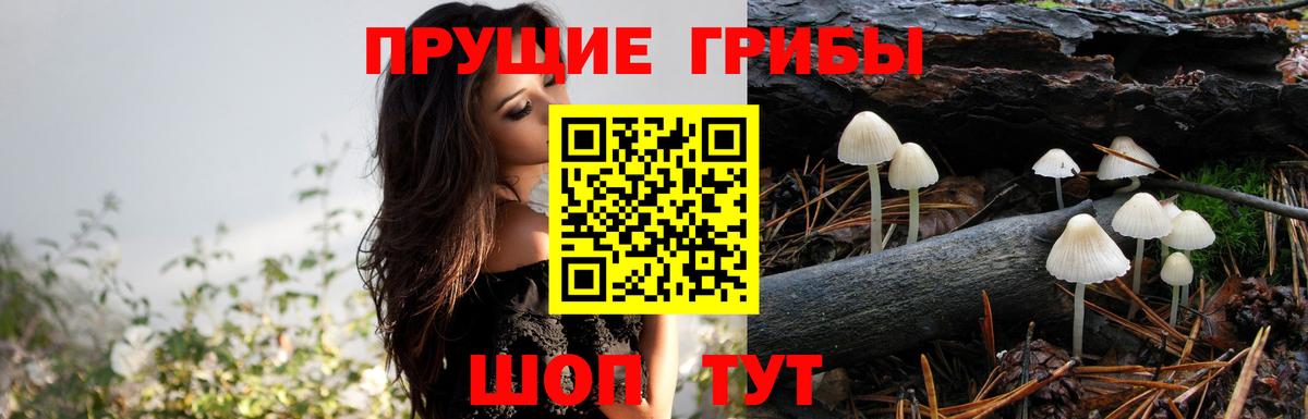 Галлюциногенные грибы Cubensis  Псилоцибиновые грибы Psilocybe  Вход с VPN  Первоуральск 